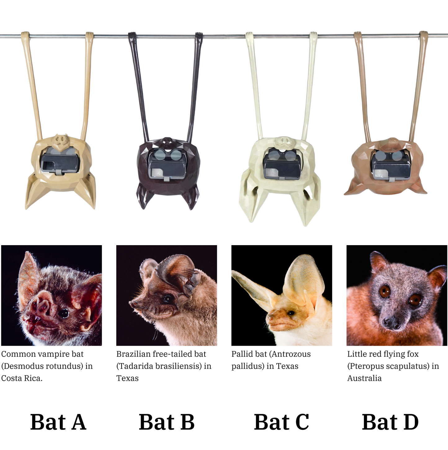 EchoVision Bat Mask