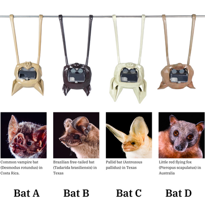 EchoVision Bat Mask